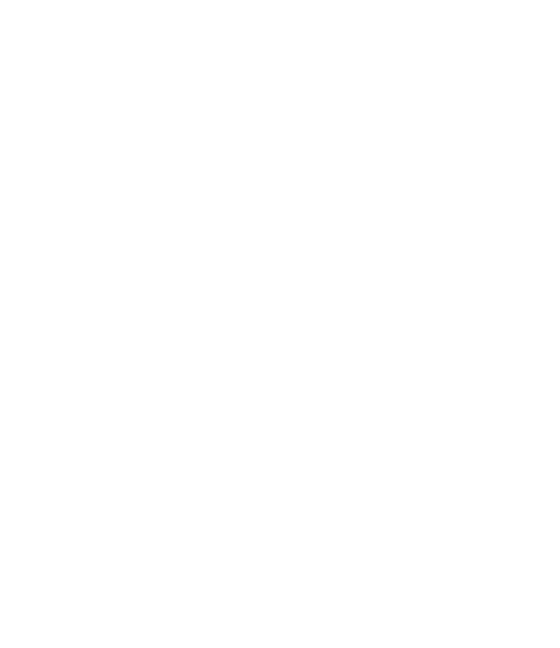 NALO Logo